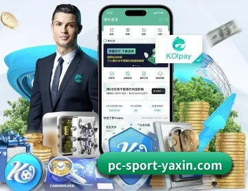 亚新体育 APP 深度功能